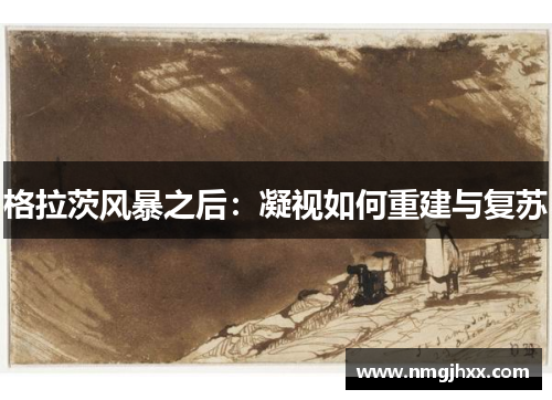 格拉茨风暴之后：凝视如何重建与复苏